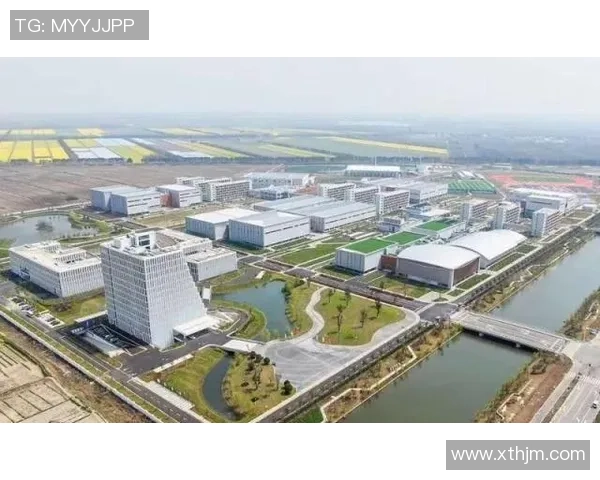 深入探讨上海羽毛球队实力表现的数据分析与未来发展潜力