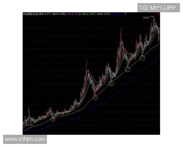 深入分析上海排球队控制打法的战术特点与实战应用